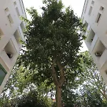 Casa Argonne Апартаменты Милан